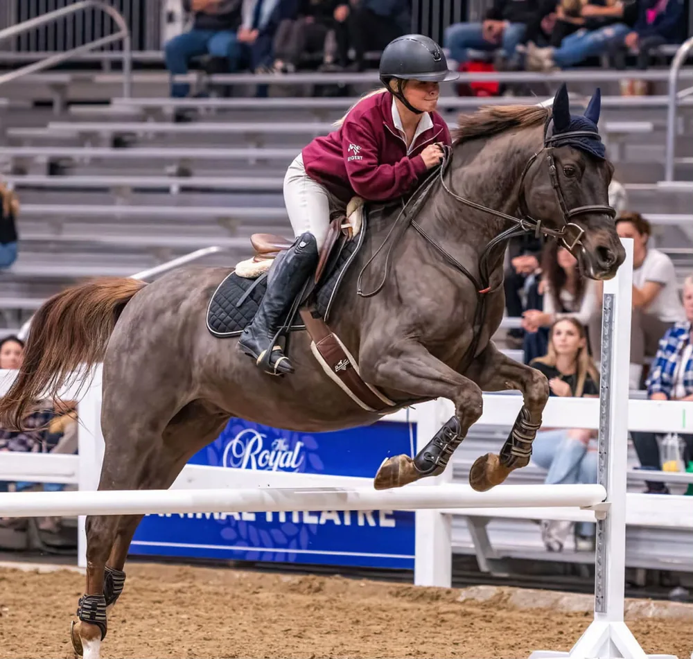 Abby Rigert show jumping