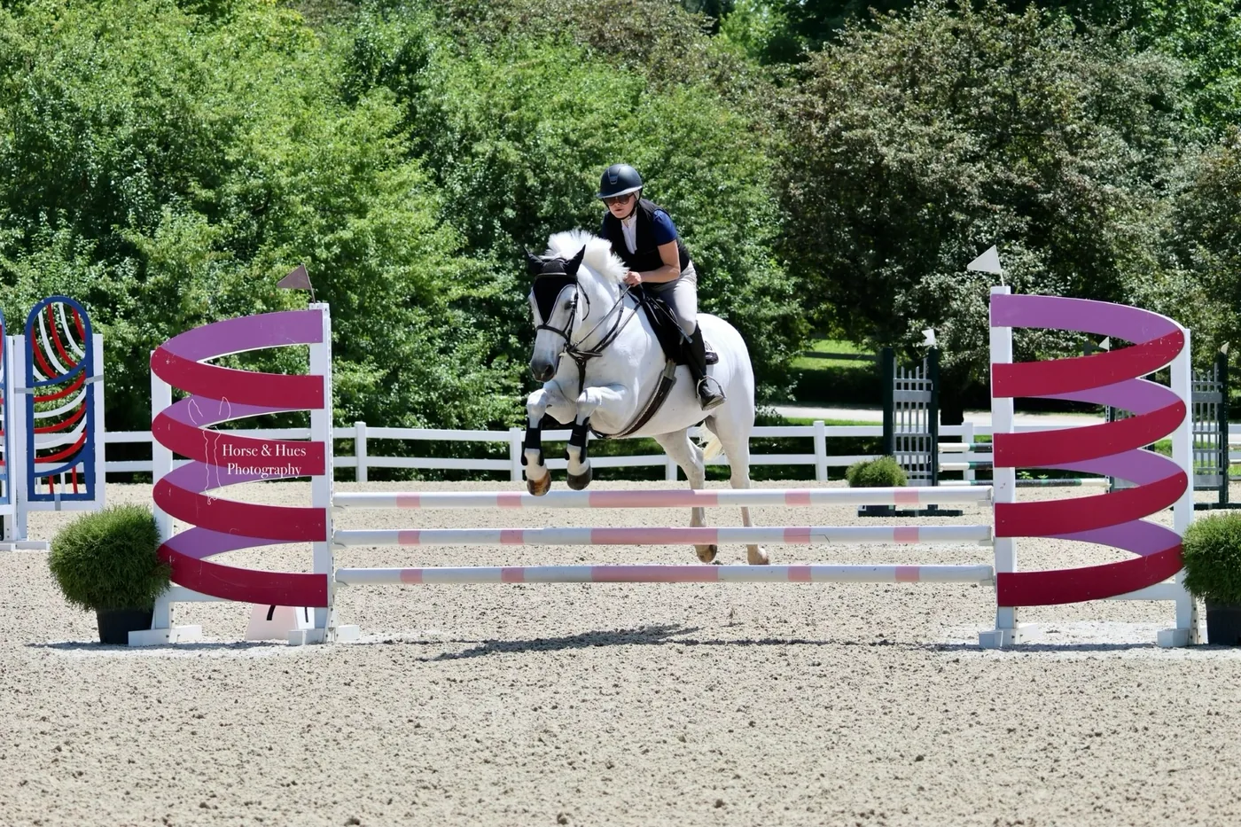 EFE rider with horse