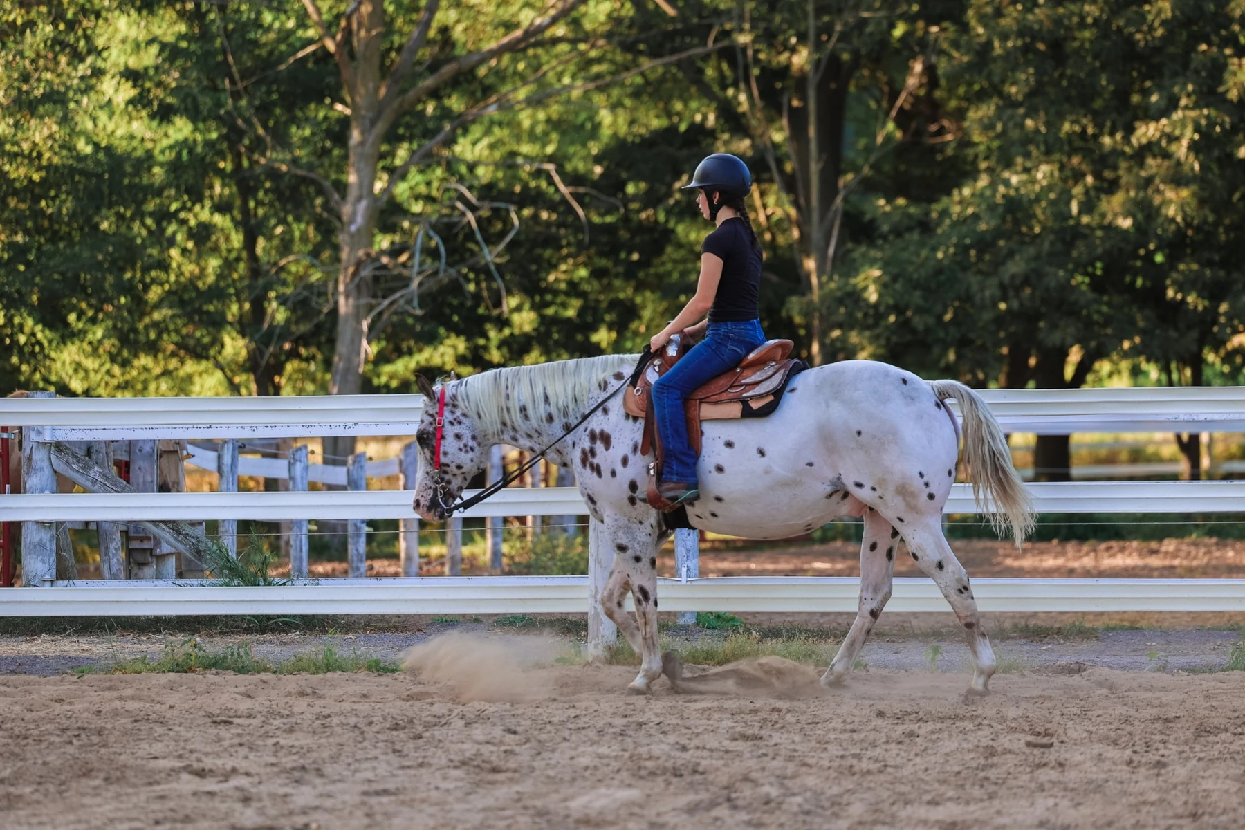 EFE rider on a spotted horse