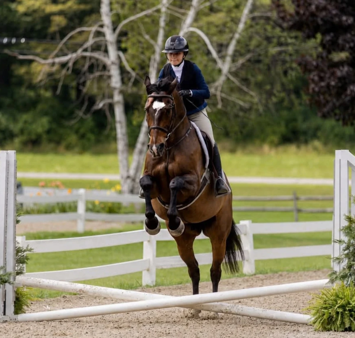 Lauren Reischer riding